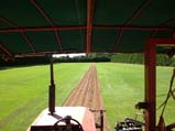 Harvesting Sod