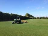 Harvesting Sod