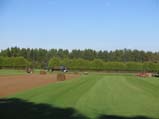 Harvesting Sod