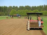 Laying Sod