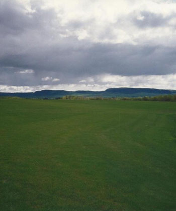 Cramer Sod Farm